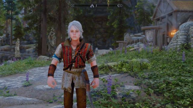 Child Ciri tw3 in Skyrim смотреть онлайн