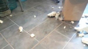 В холодильнике намерзает снег на задней стенке,наледь.Промерз утеплитель.Холодильник Либхер.Немец .