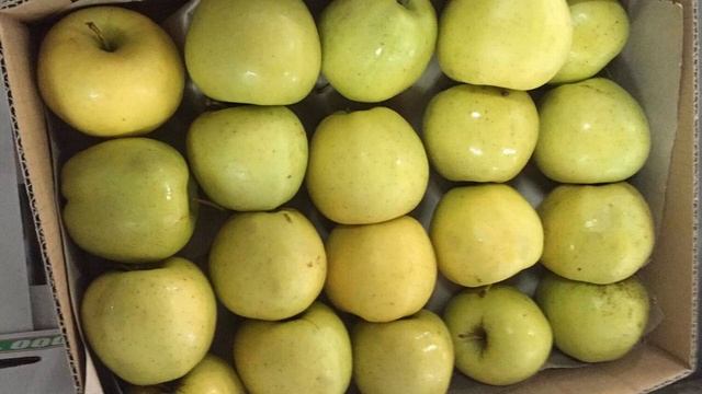 Когда собирать яблоки на хранение на зиму в 2021 году: благоприятные дни смотреть онлайн