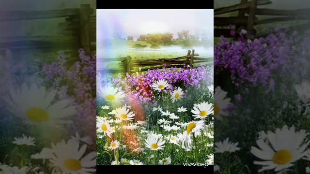 Самого нежного утра и ДОБРОГО дня ❤️🌺🥰👍 смотреть онлайн