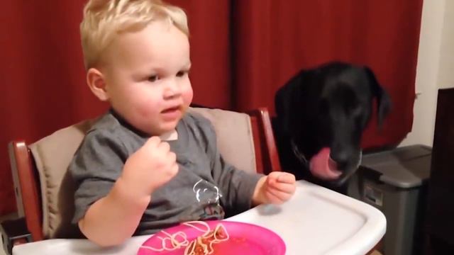 дети и животные лучшие друзья! kids and animals are the best friends! Funny moments! смотреть онлайн