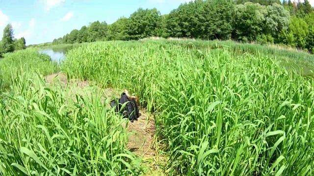 ОДНА ИЗ САМЫХ УЛОВИСТЫХ ОСНАСТОК НА МАЛЫХ РЕКАХ Рыбалка 2020 Летом на Всплеск смотреть онлайн