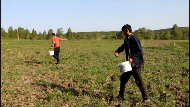 весенний посев двулетних медоносов по задискованной осенью фацелии смотреть онлайн