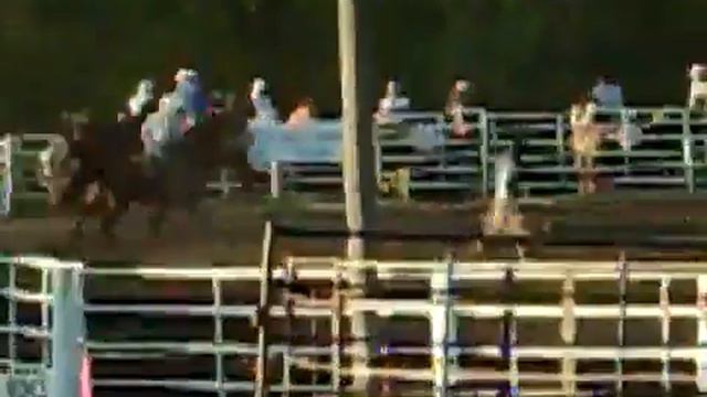 The Bucking Bronko at the Buckhorn Rodeo смотреть онлайн