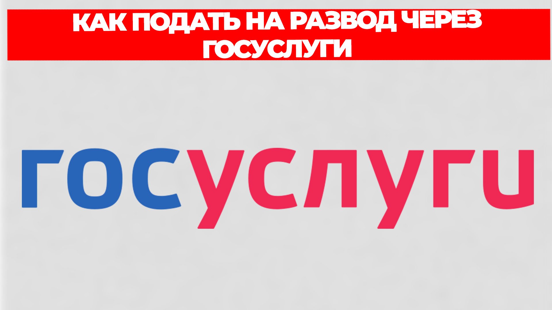 Всезнающий Енот