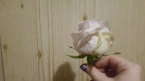 Как сохранить живые цветы навсегда?