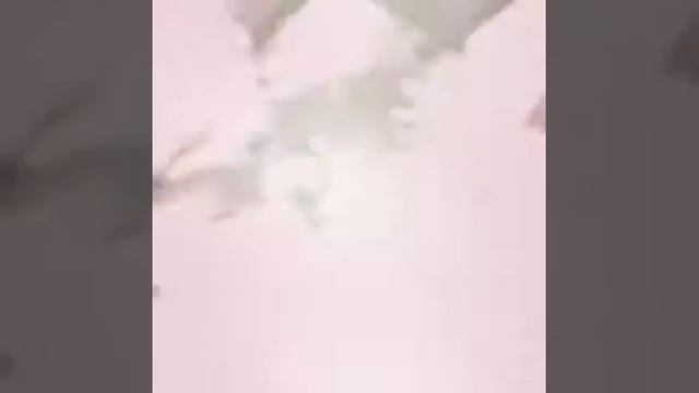 Промо #3 к видео-презентации Багги 2.0 (подножка-прицеп на коляску для второго ребенка)