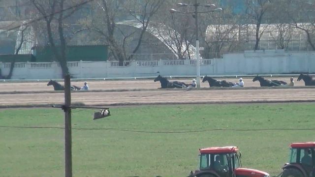 Московский ипподром. Бега. 20.04.14. ЗАЕЗД ДНЯ. Заезд 5(141) смотреть онлайн
