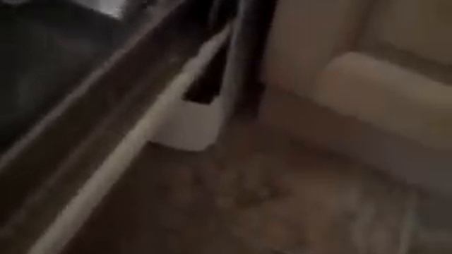 Zanussi Dishwasher смотреть онлайн