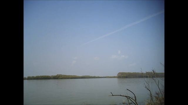 13 В огороде верба росла смотреть онлайн