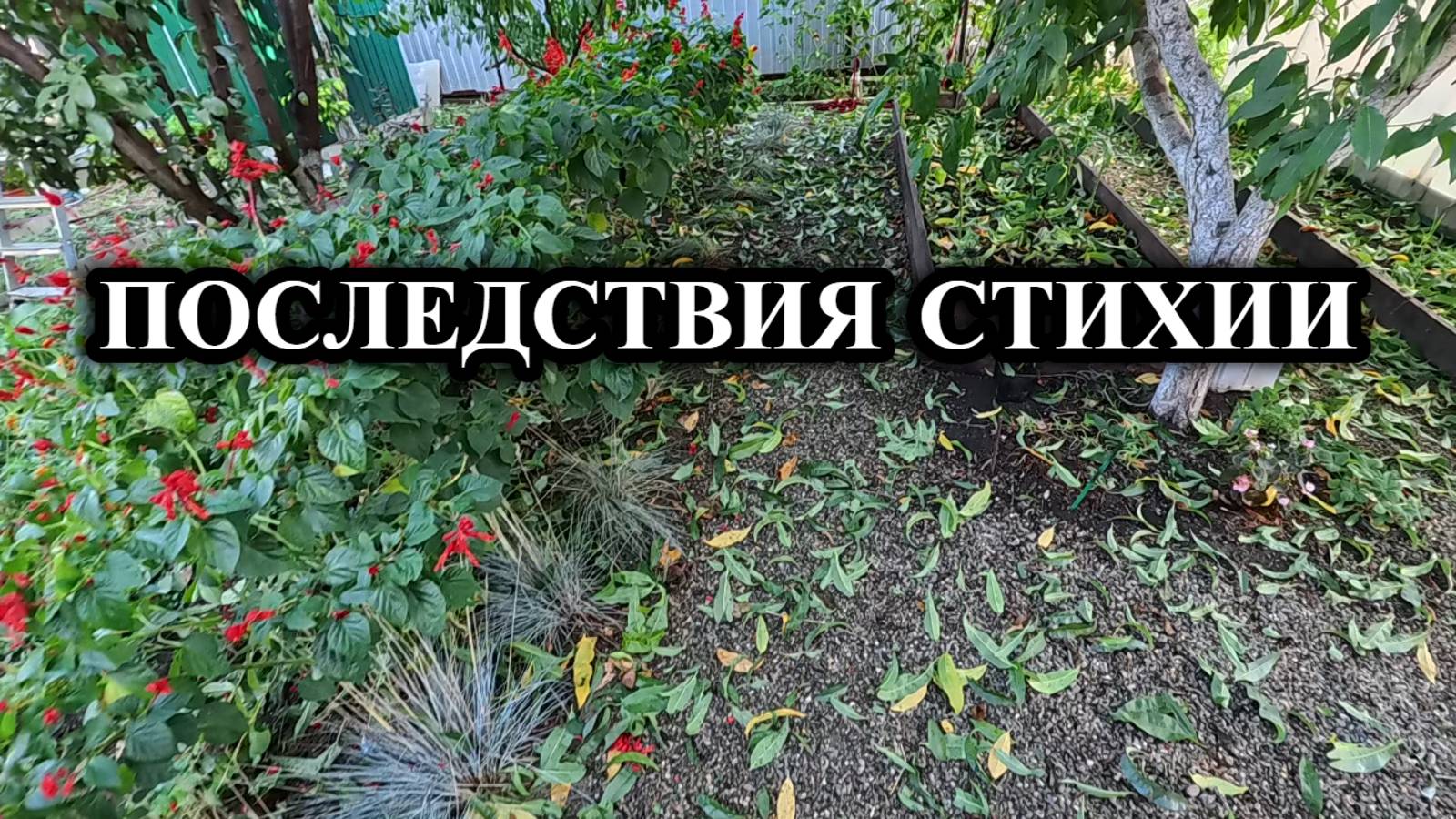 680ч Жизнь семьи на Кубани/Свой дом на юге/Ремонт своими руками смотреть онлайн