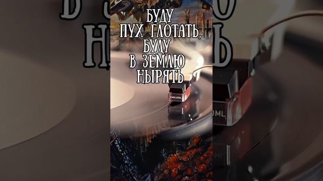 Про Дурачка. Гражданская оборона смотреть онлайн