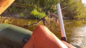 Рыбалка на хищника в августе на спиннинг Река Хопер Волгоградская обл. Жора щуки НЕТ