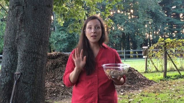 Can I Compost Meat? смотреть онлайн