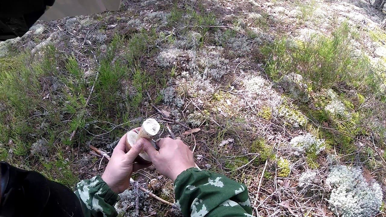 Untitled смотреть онлайн