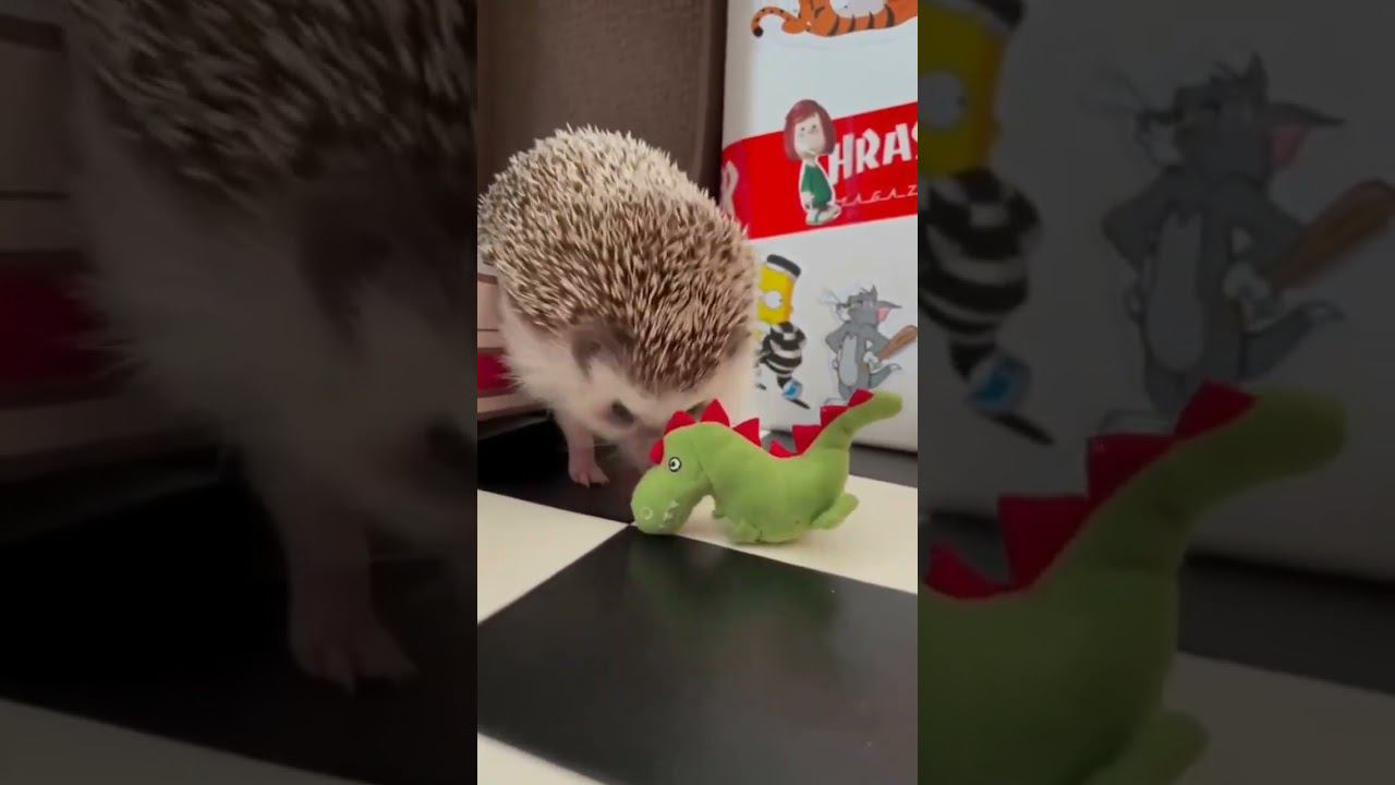 Злой ёж) смотреть онлайн