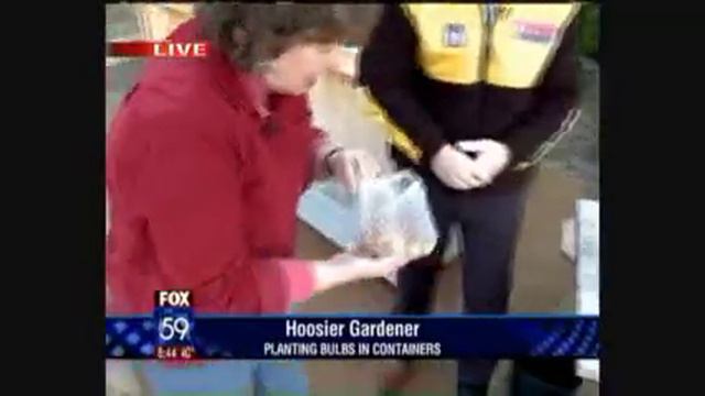 Planting Bulbs In Containers