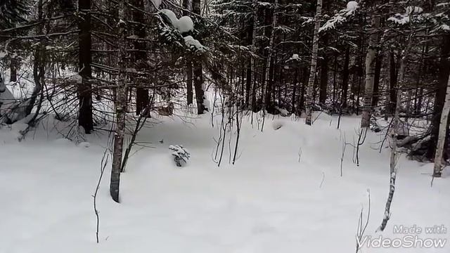 Короткий путик. смотреть онлайн