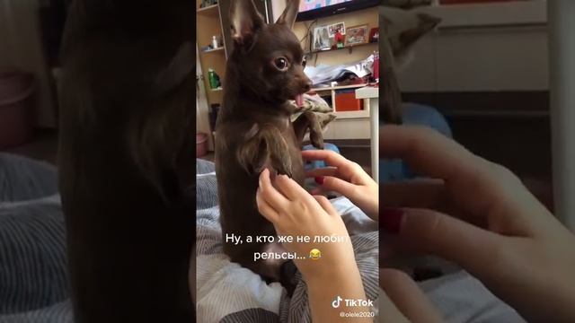 Рельсы, рельсы, шпалы, шпалы.. смотреть онлайн