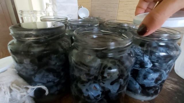 Compot de prune pentru iarna смотреть онлайн