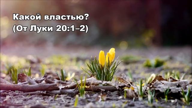 Тихое время с Живой Жизнью: от Луки 20:1–8 (27032017) смотреть онлайн