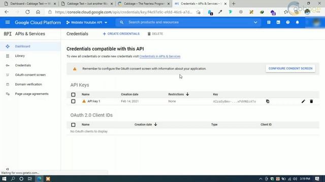 How to add your video to your website automatically by uploading in Youtube channel | Cabbage | 202 смотреть онлайн