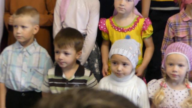 Молодой виноградник