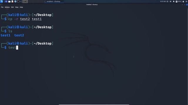 Corso Ethical-Hacking Principianti Ep.17 | Comandi Kali Linux смотреть онлайн