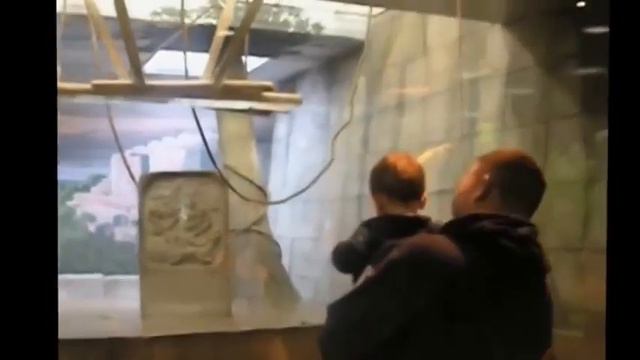 Самые смешные моменты про детей в зоопарке! смотреть онлайн