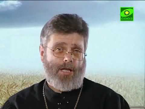 "Физическая и духовная зависимость: эффект отсутствия алкоголя на праздничном столе" смотреть онлайн