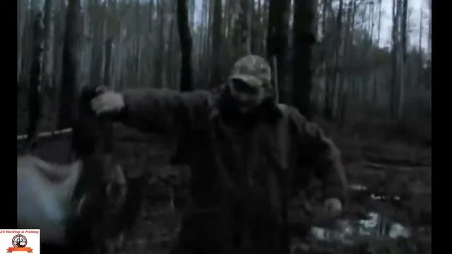 Hunting for capercaillie. Охота на глухаря. смотреть онлайн