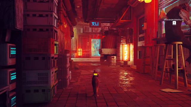 ПРОДОЛЖАЕМ ИССЛЕДОВАТЬ ТРУЩОБЫ И ИСКАТЬ ВЫХОД • Stray Прохождение [#2] смотреть онлайн