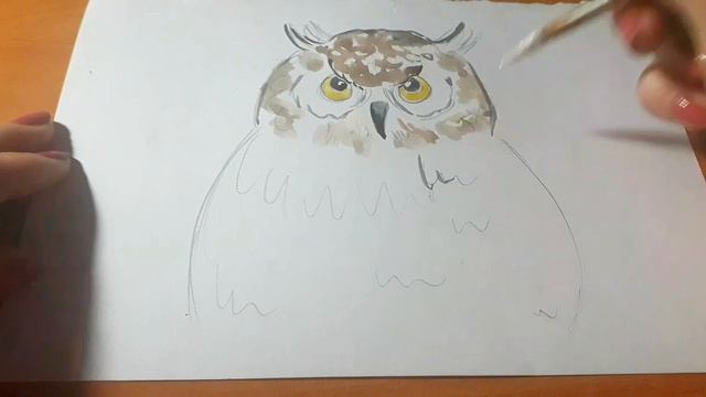 Рисунок для новичка. Как просто нарисовать сову. Акварель. смотреть онлайн