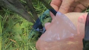 Палатка Normal Ладога 3