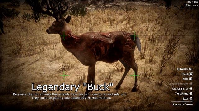 Legendary Animals Leaked? - All Known Future Legendaries - Red Dead Online смотреть онлайн
