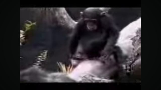 2 декабря 2023 г. смотреть онлайн