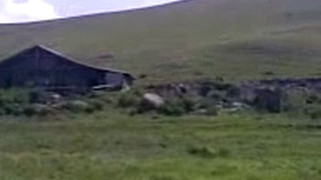Наохреби джааааааааан смотреть онлайн
