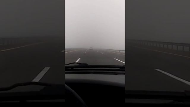 Как Ёжик в тумане) смотреть онлайн