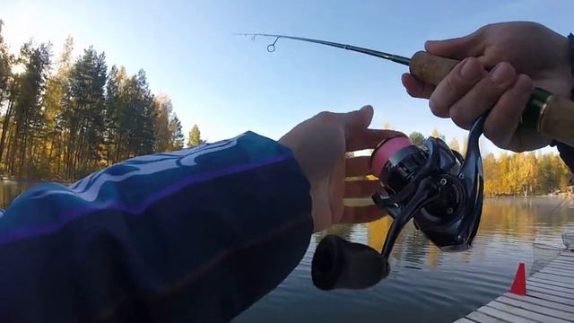 Работа Zetrix Arte 642 SUL при вываживании форели. смотреть онлайн