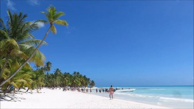 Caribbean most beautiful island : ISLA SAONA! смотреть онлайн