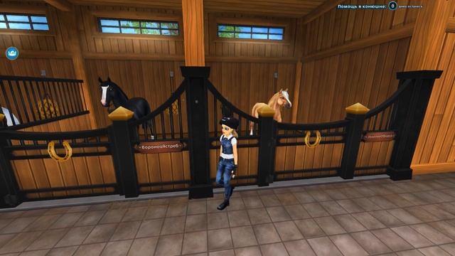 Обзор всех лошадей в моей конюшне в Star Stable Online | Star Stable Online