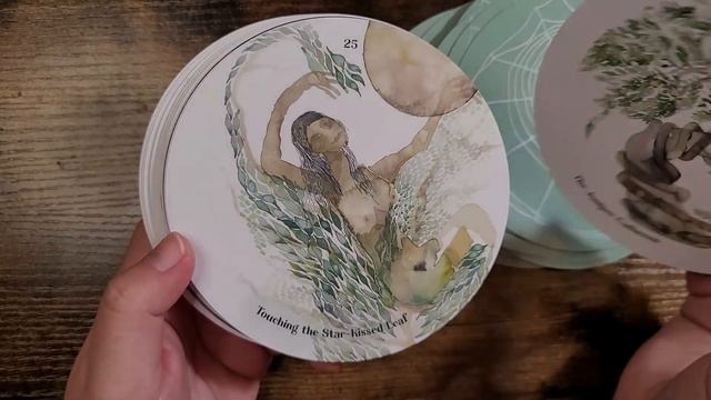 The Cantigee Oracle | Unboxing and Flip Through смотреть онлайн