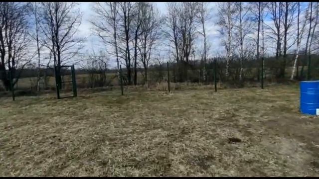 Цена 750 тыс.руб. Продам земельный участок 12 соток с. Власово г.о Шатура Московской области смотреть онлайн