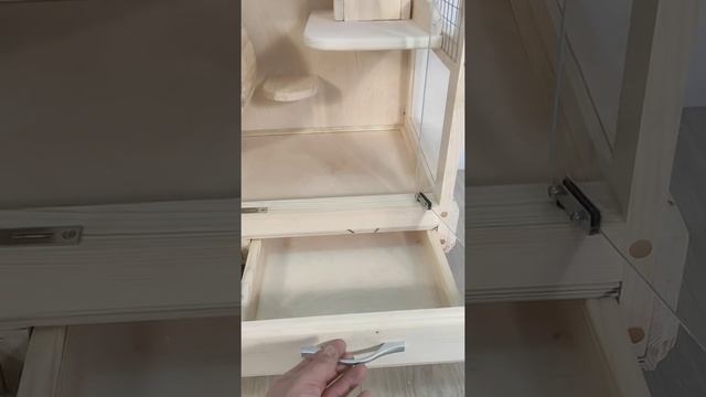 Витрина для шиншиллы, дегу, белки. миргрызунов.рф смотреть онлайн