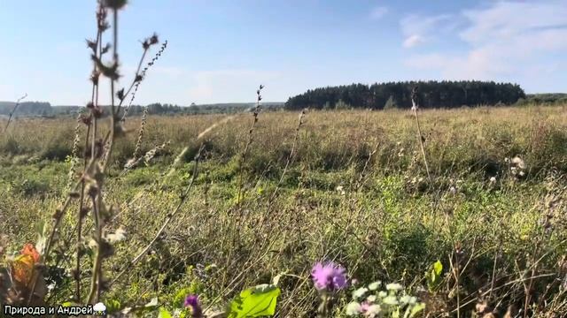 ГРОЗОВЫЕ НАКОВАЛЬНИ | АТМОСФЕРНЫЙ ЧЕЙЗИНГ НА ПОЛЕ. 18 Августа 2023 года! смотреть онлайн