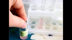 Действие амилазы слюны на крахмал