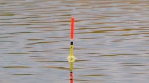 РЫБАЛКА НА КАРАСЯ В АПРЕЛЕ! Рыбалка на маховую удочку на поплавок! Поклевки крупным планом!