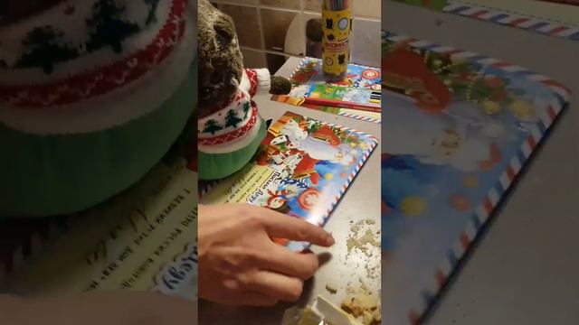 Новый Год с Мявчиком☃️❄: пишем письмо Деду Морозу🎅