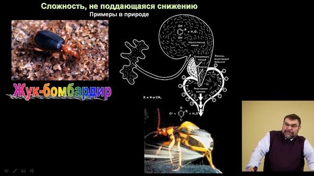 Библия и естествознание смотреть онлайн