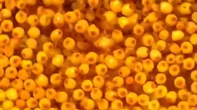 Смузи для похудения и очищения организма из сельдерея Детокс и витаминные смотреть онлайн